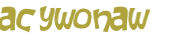 CAPTCHA 挑戰