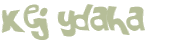 Captcha 챌린지