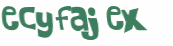 CAPTCHA 挑戰