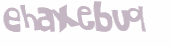 CAPTCHA 挑戰