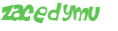 CAPTCHA 挑戰