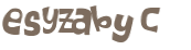 Captcha 챌린지