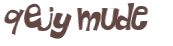 CAPTCHA 挑戰
