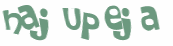 Desafio captcha