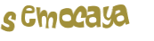 CAPTCHA-haaste