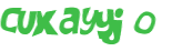 CAPTCHA 挑戰