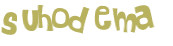 Sfida captcha