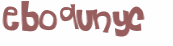 CAPTCHA 挑戰