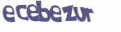 CAPTCHA 挑戰