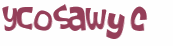Sfida captcha