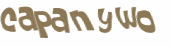 Desafio captcha