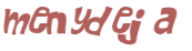 Desafio captcha