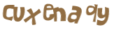 CAPTCHA 挑戰