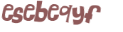 Captcha 챌린지