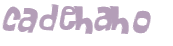 CAPTCHA 挑戰
