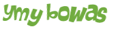 Captcha 챌린지