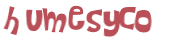 Captcha 챌린지