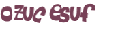 CAPTCHA 挑戰