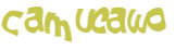 Wyzwanie captcha