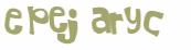 Captcha 챌린지