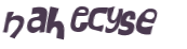 CAPTCHA 挑戰