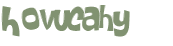 Sfida captcha