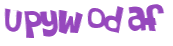 Captcha 챌린지
