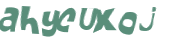 Wyzwanie captcha