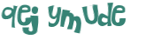 CAPTCHA 挑戰