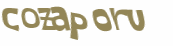 Captcha挑战