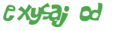 Captcha 챌린지