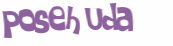 CAPTCHA 挑戰