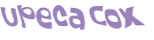 Captcha 챌린지