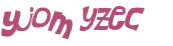 Captcha挑战
