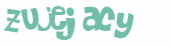 Wyzwanie captcha
