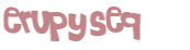 CAPTCHA 挑戰