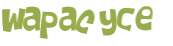 Wyzwanie captcha