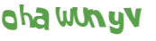 Captcha 챌린지
