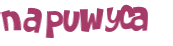 CAPTCHA 挑戰