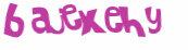 Captcha 챌린지