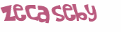 Desafio Captcha