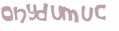 Wyzwanie captcha