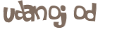 Wyzwanie captcha