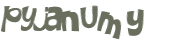 Captcha 챌린지