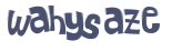 CAPTCHA 挑戰
