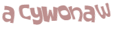 Wyzwanie captcha