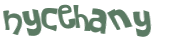 Captcha 챌린지