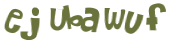 Captchafråga