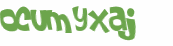 CAPTCHA 挑戰
