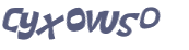 CAPTCHA 挑戰